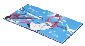 Flatbook_Voetelink_1_.png