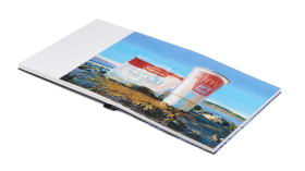 Flatbook_Voetelink_3_.png