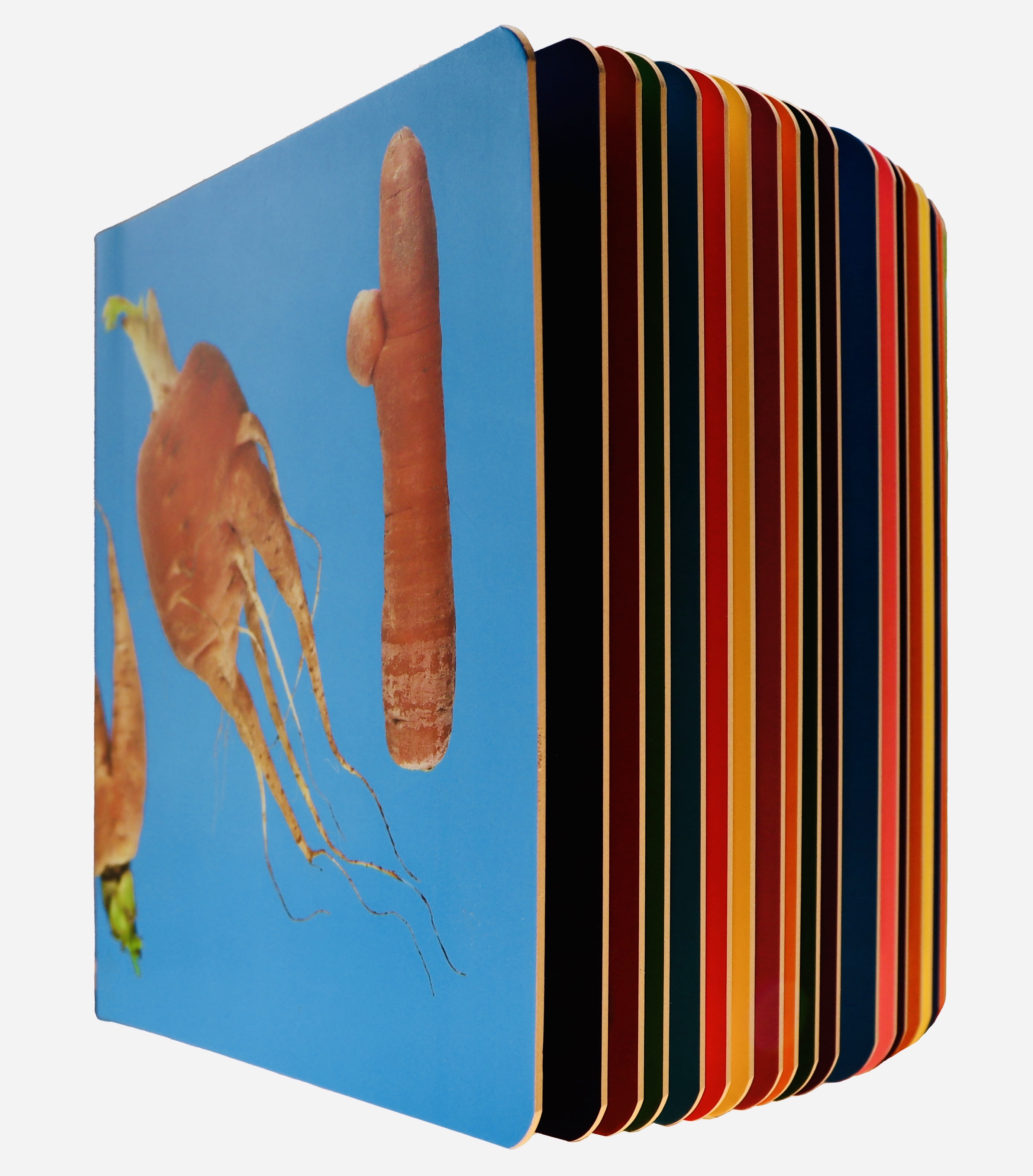 Kinderboek_Voetelink1_2.jpeg